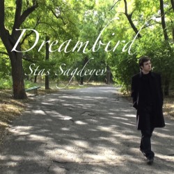 New single 'Dreambird'